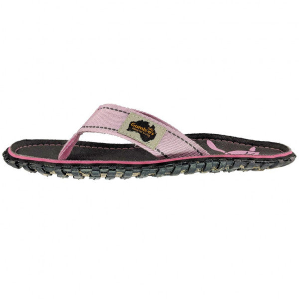 Islander | Turtle