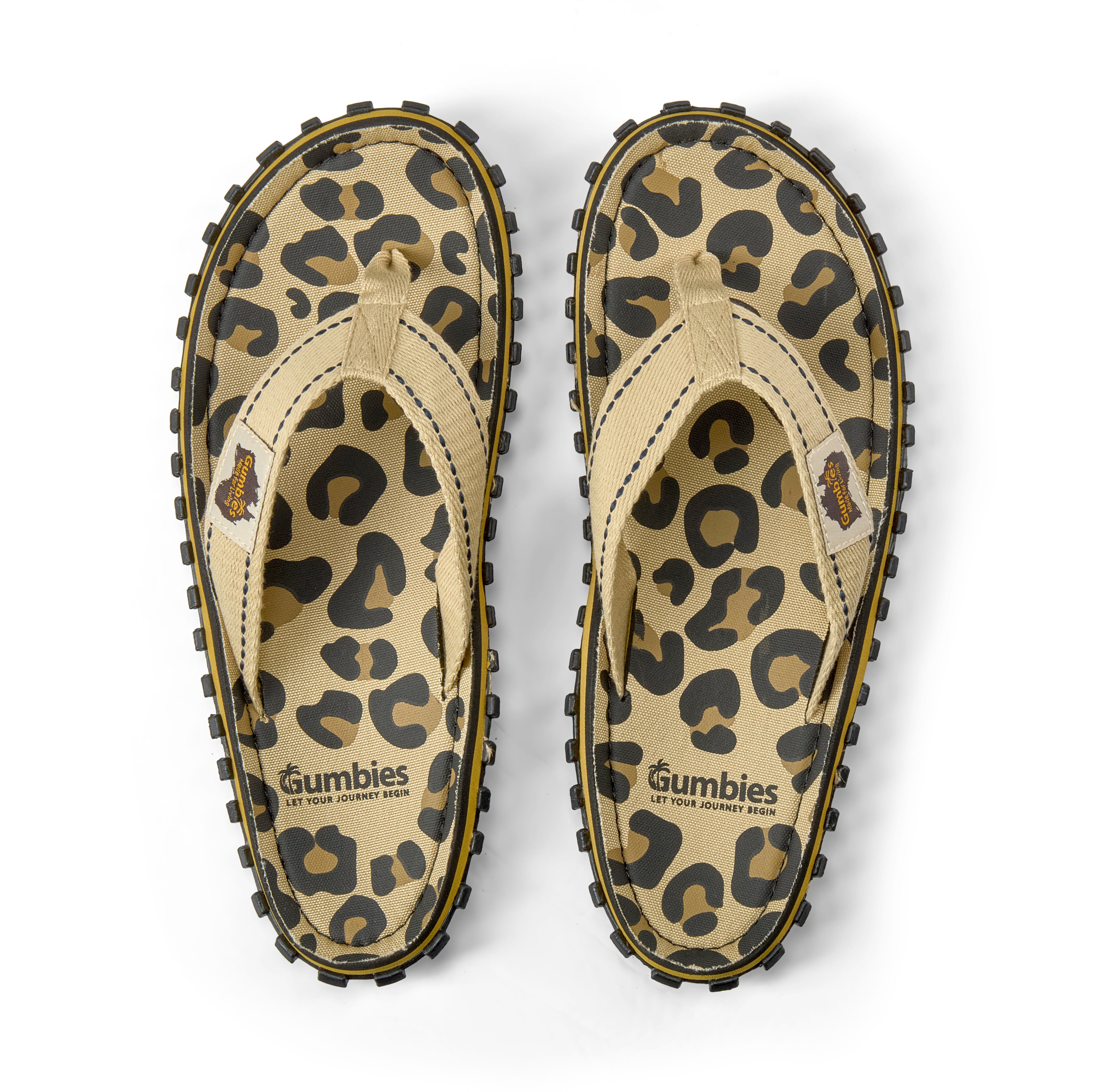 Islander | leopard